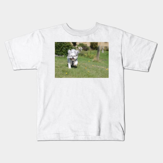 Sammy Shih Tzu Kids T-Shirt by Ladymoose